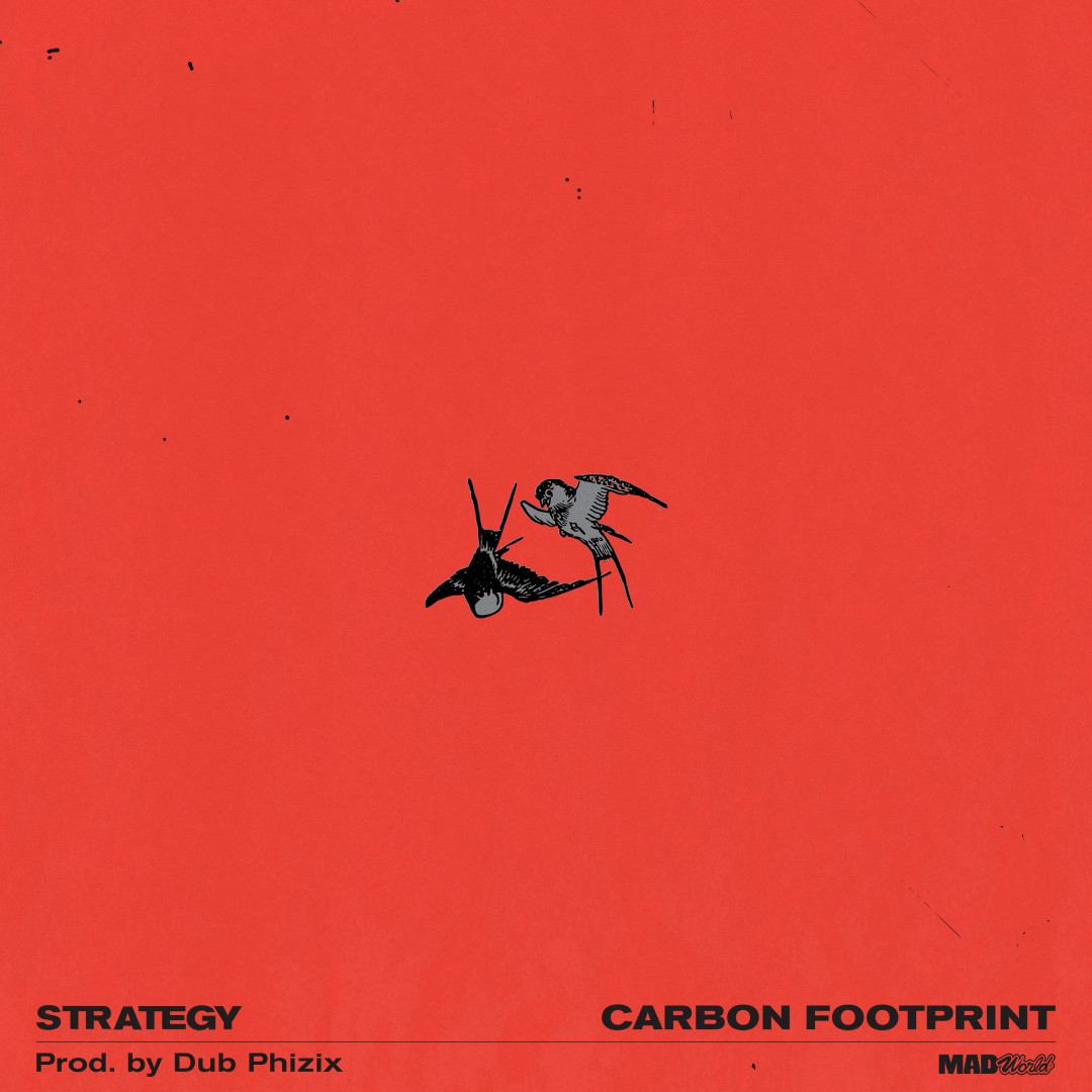 Carbon Footprint